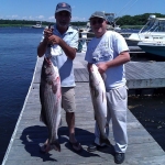 zygi_fish_4