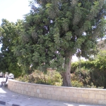 projects_completed_13