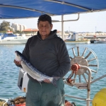 zygi_fish_6